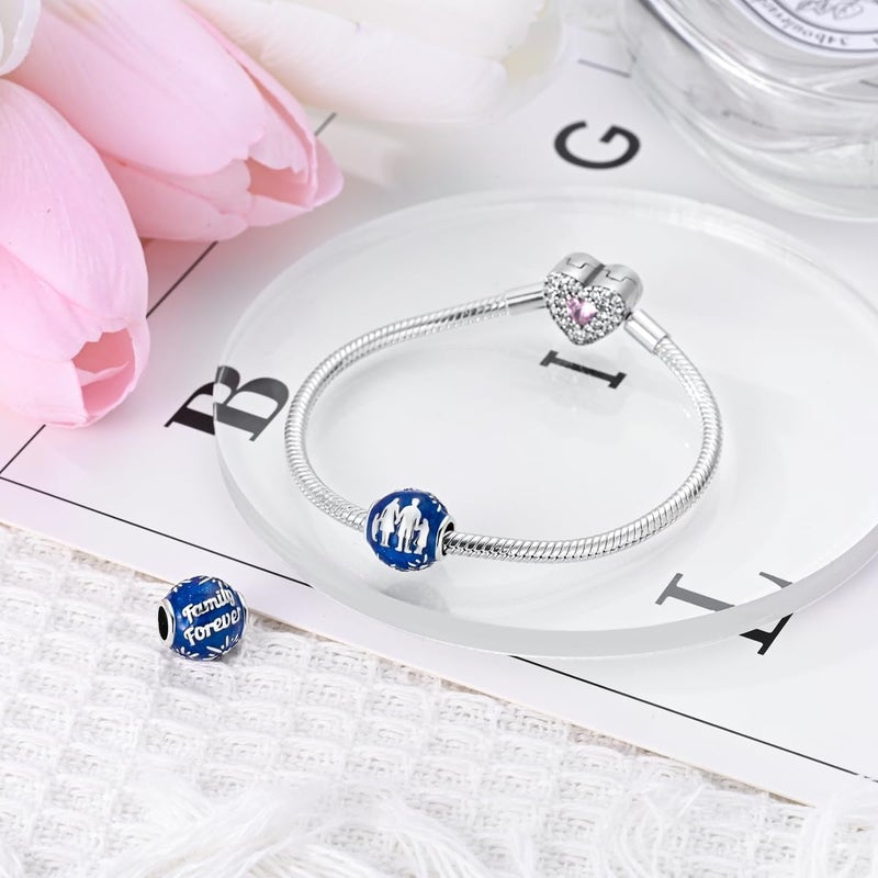 Hapour Store 925 Sterling Silver Charms for Bracelets Necklace European Jewelry Pendant Beads Charm for Women Mom - Image 1